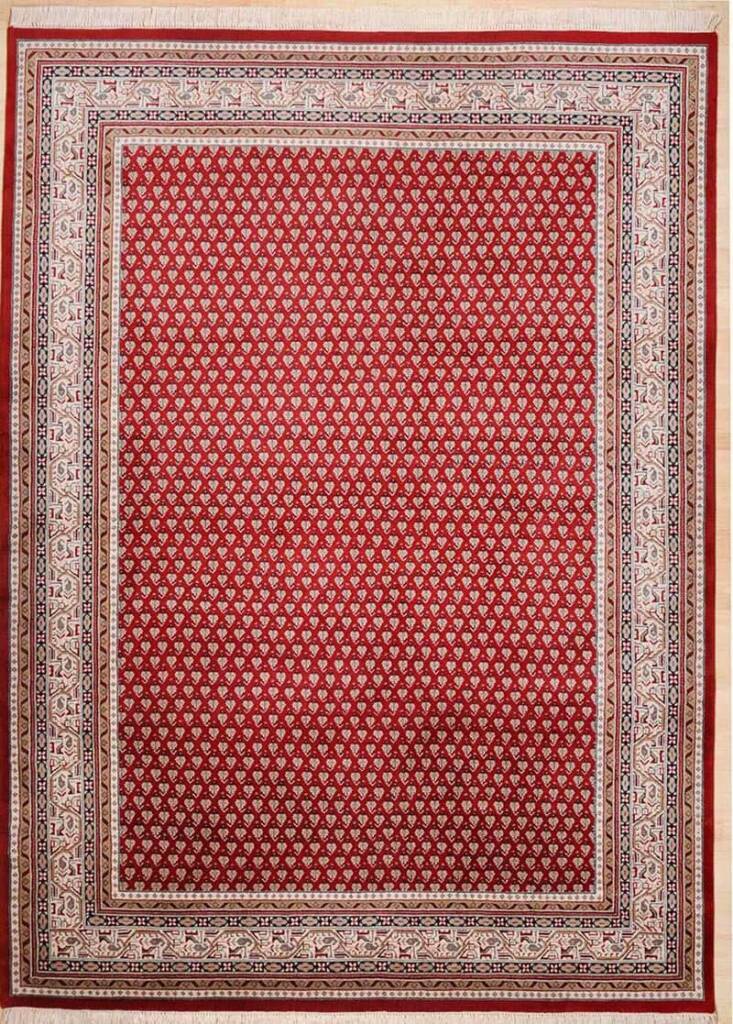 abba meraj mir redcreme 1